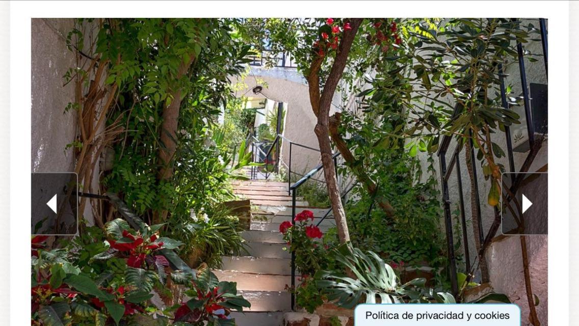 דירות Balcon De מאלגה מראה חיצוני תמונה